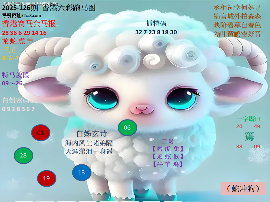 香港六合126期